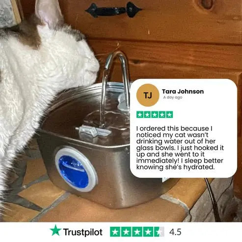 Add Years to Your Cat's Life with Purrflow's Triple-Filtration System