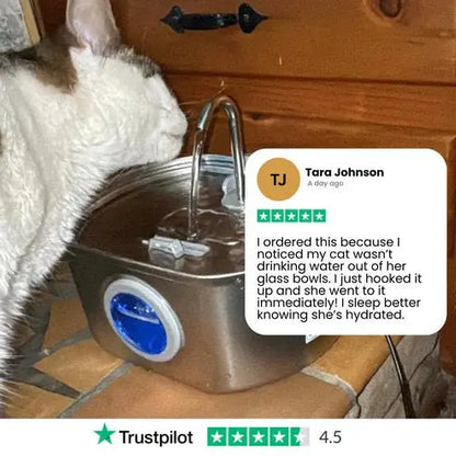 Add Years to Your Cat's Life with Purrflow's Triple-Filtration System