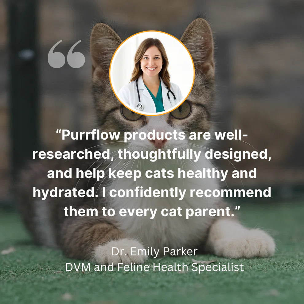 Add Years to Your Cat's Life with Purrflow's Triple-Filtration System