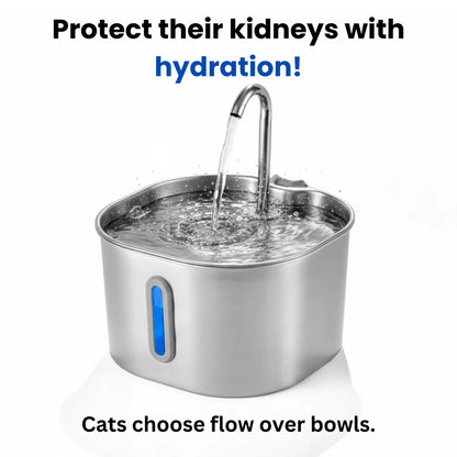 Add Years to Your Cat's Life with Purrflow's Triple-Filtration System