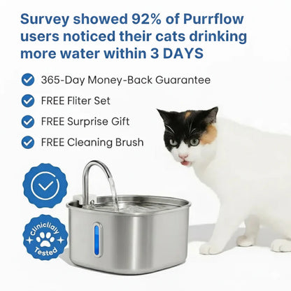 Add Years to Your Cat's Life with Purrflow's Triple-Filtration System